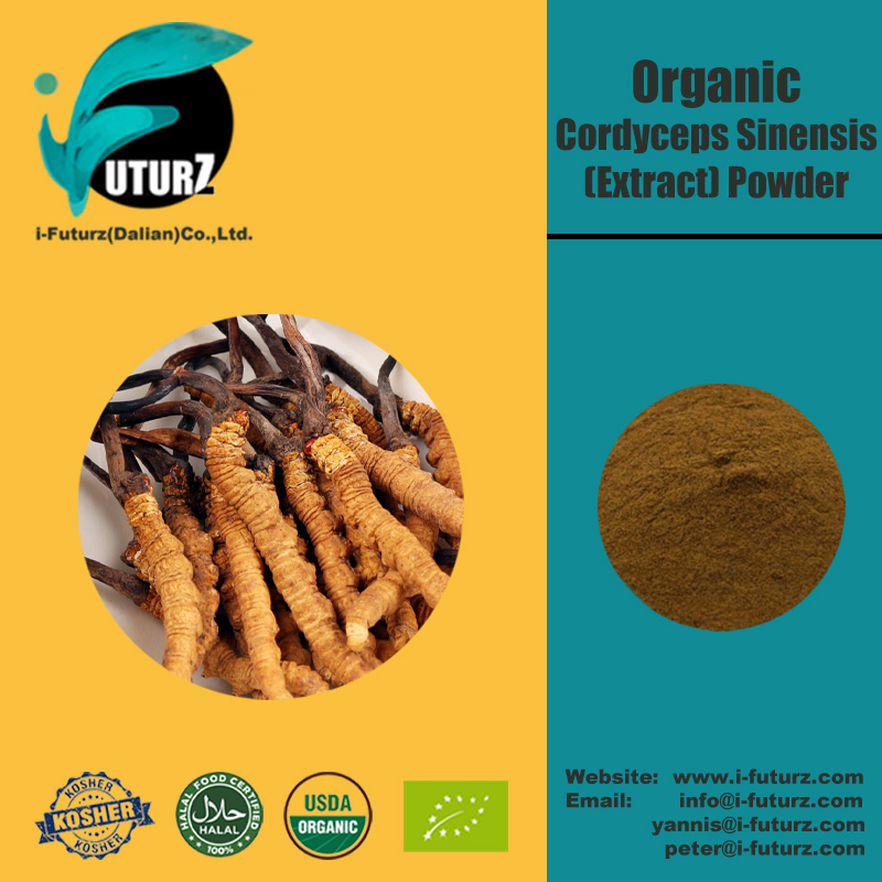 Buy China Organic Cordyceps Sinensis Extract Powder Supplier Exporter ...